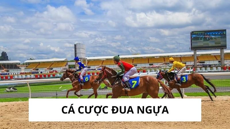 Cá Cược Đua Ngựa - Tốc Độ Đỉnh Cao, Rinh Tiền Thưởng Lớn